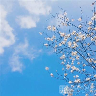 电子mg官方网站